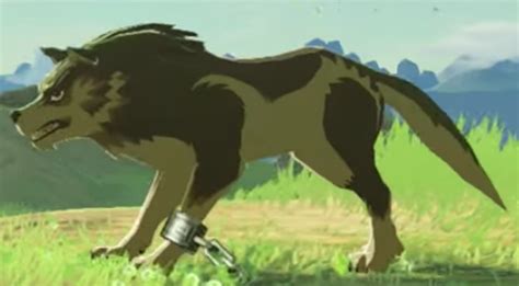 Her power extended in front of her and formed into a. . Loz botw wolf link